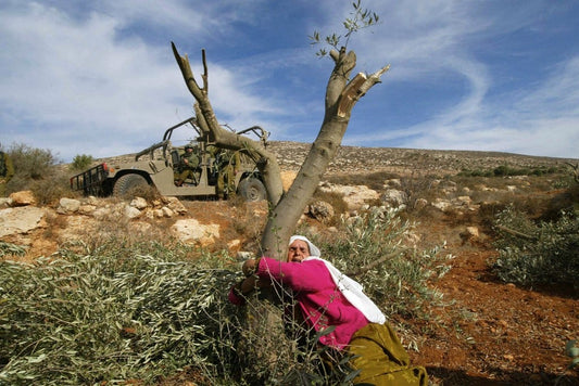 5 Essential Palestinian Plants